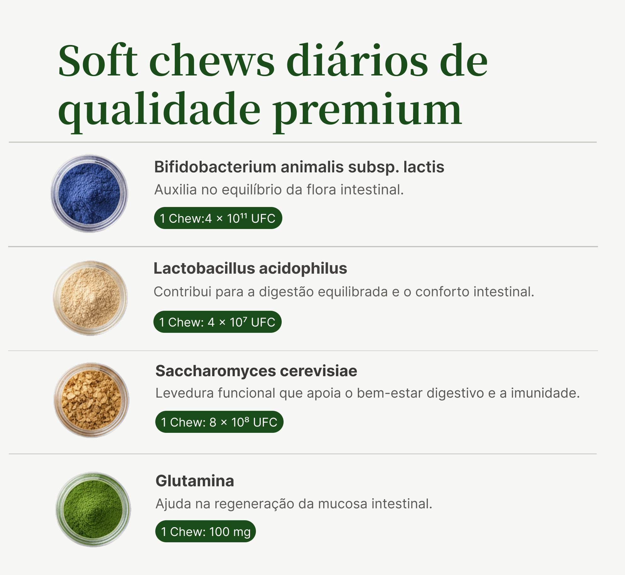 Probióticos para cães – Suplemento alimentar para auxilio flora intestinal & digestão