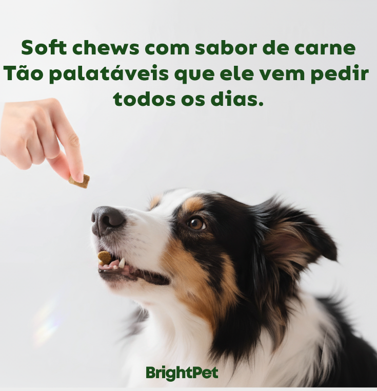 Brightpet Mobilidade: Suplemento Alimentar Para Articulação
